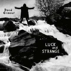 Luck And Strange - Vinyl