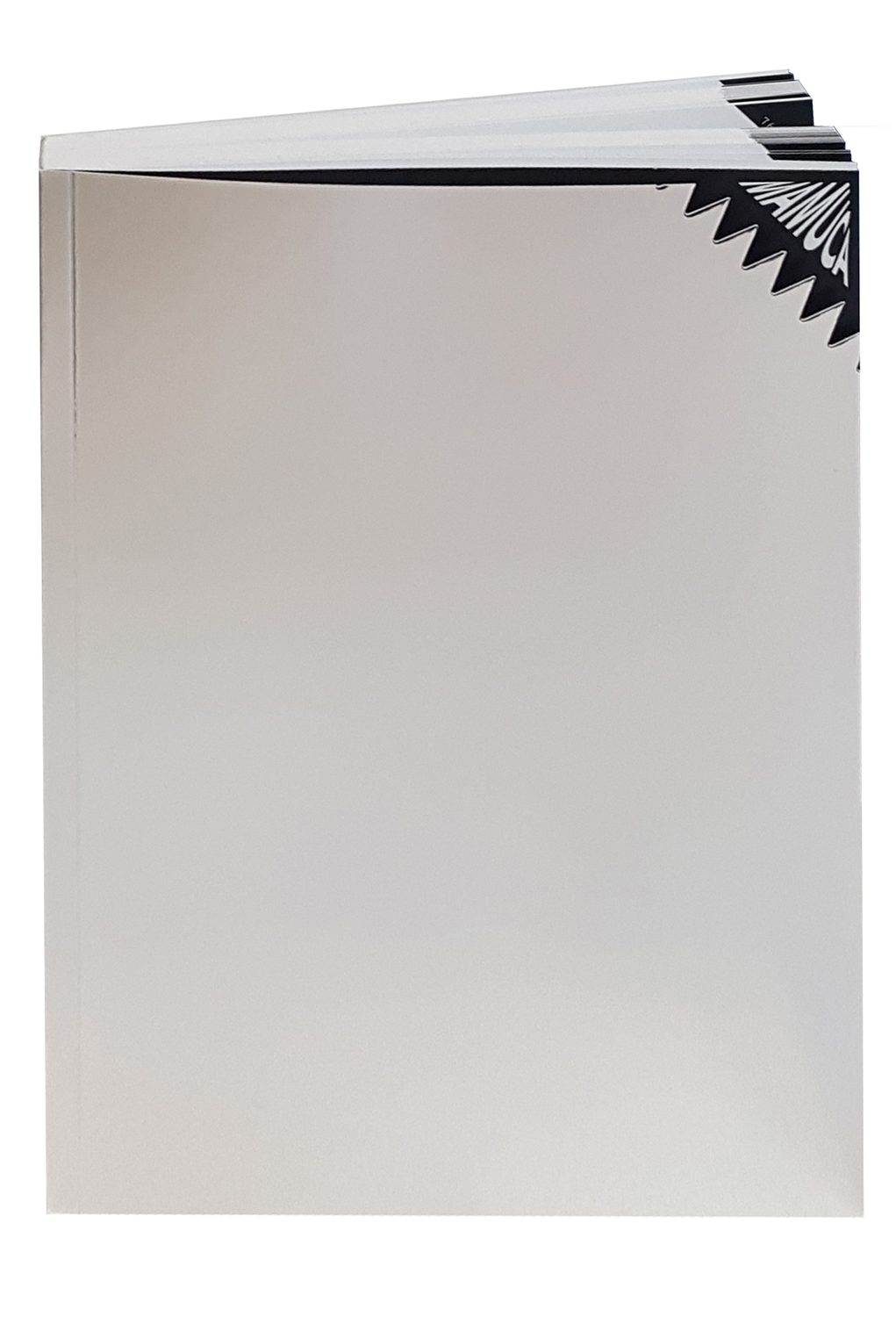 Mamuca: Mai-mult-ca-abstractul