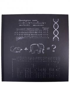 Проект "Барнабус"