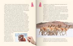 Only Lama. ЛАМА! ЛАМА!