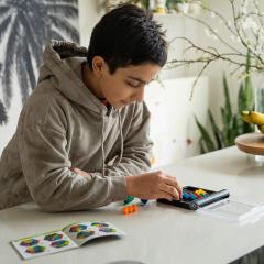 Joc de logica - IQ Perplex