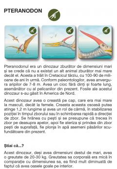 Joc - Memotrio - Dinozauri