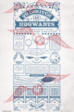 Poster - Harry Potter Quidditch at Hogwarts