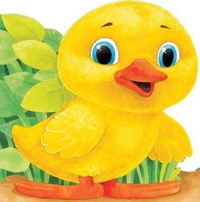 Ratusca (Primii Pasi)