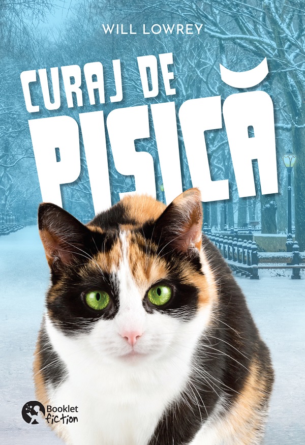 Curaj de pisica
