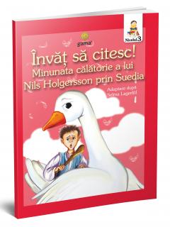 Pachet pentru cititori fluenti IV