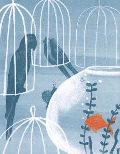 Рыжии Помпон в зеленои траве