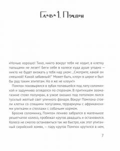 Рыжии Помпон в зеленои траве