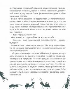 Рыжии Помпон в зеленои траве