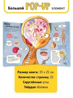 Тело человека