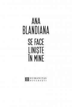 Se face liniste in mine