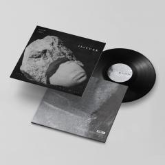 Songs Of A Lost World - Black Bio-Vinyl