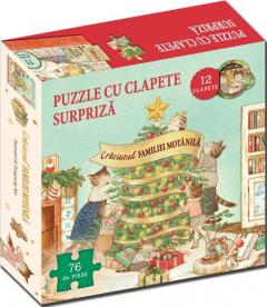 Craciunul familiei Motanila