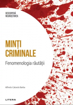 Minti criminale