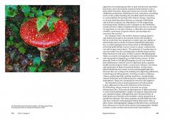 Art and Climate Change