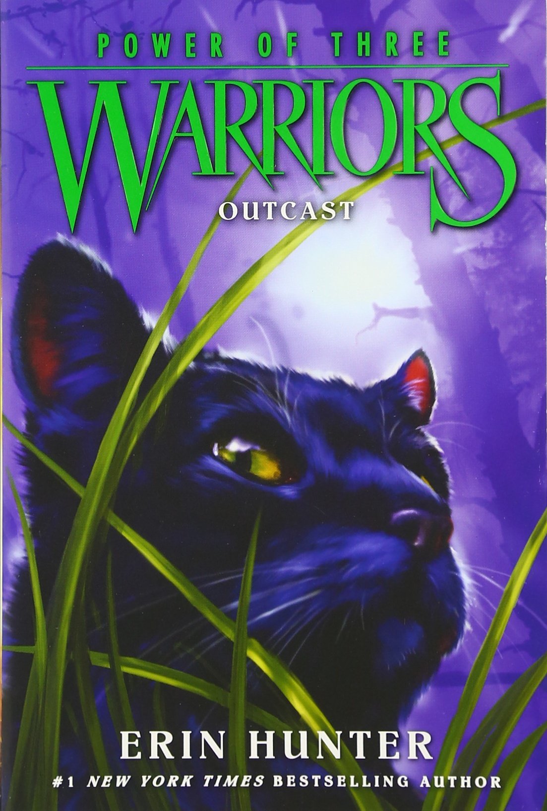 Warriors - Power of Three #3