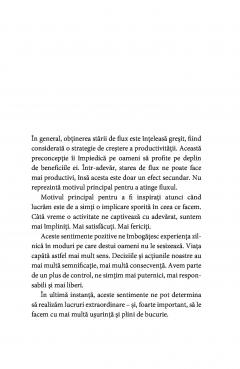 Arta de a gasi starea de flux