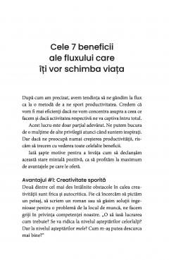 Arta de a gasi starea de flux