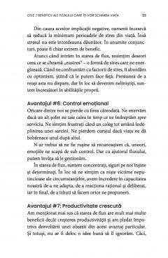 Arta de a gasi starea de flux