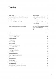 O suta de limbaje in scurte povestiri 