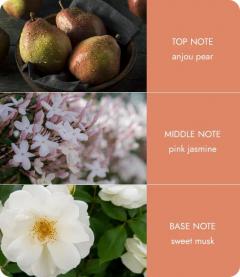 Lumanare parfumata si carusel - Mini Candle & Carousel - Angel Touch