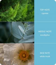 Difuzor de arome cu betisoare parfumate - Tranquility