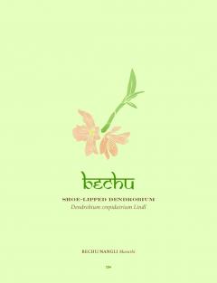 The Herbal Sutra