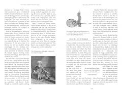 Istanbul on Five Kurush a Day