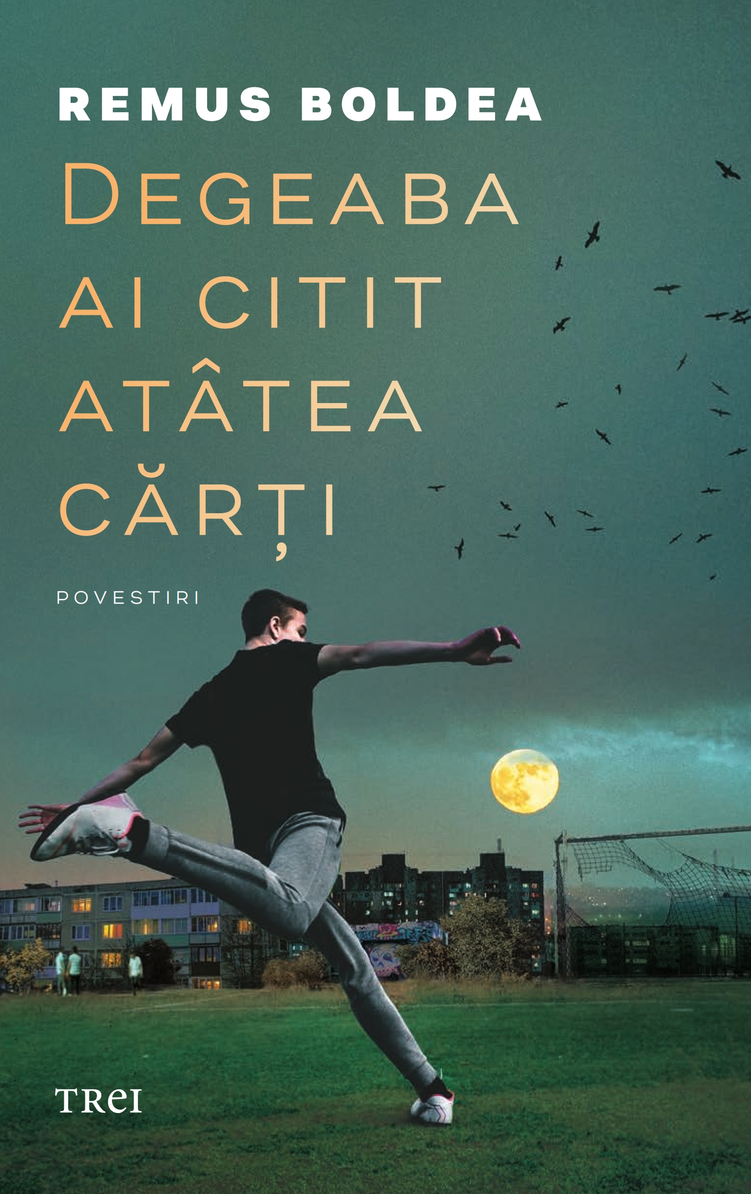 Degeaba ai citit atatea carti