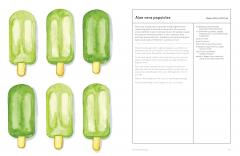 The Medicinal Garden