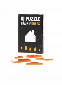 IQ Puzzle- Casa