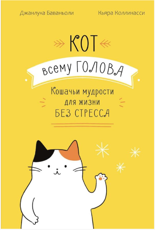 Кот всему голова