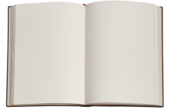 Carnet - Blue Willow - Ultra , Lined, Wrap