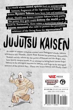 Jujutsu Kaisen - Volume 25