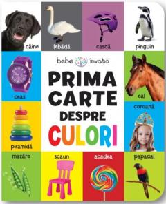 Prima carte despre culori