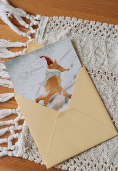 Carte postala - mai multe modele