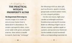 The Witches' Wealth Spell Book