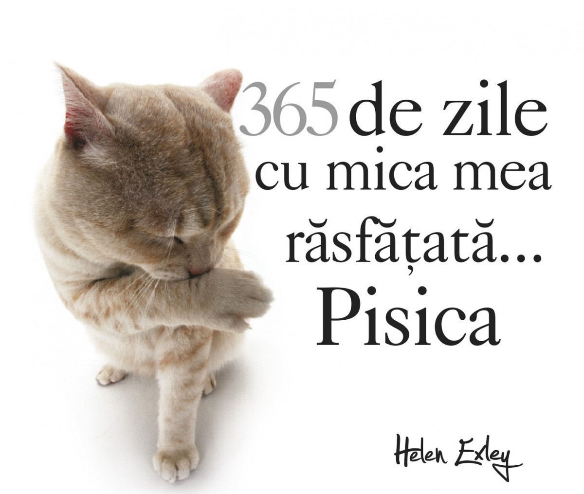 365 de zile cu mica mea rasfatata... Pisica
