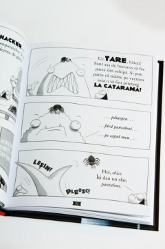 Baietii Rai. Misiune improbabila