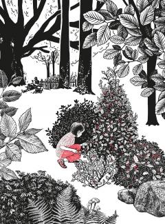 Padurea Vrajitoarei Mici