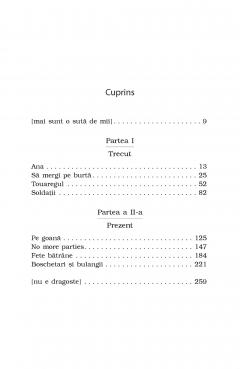 Soldatii. Poveste din Ferentari