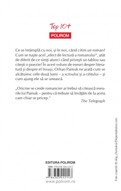 Romancierul naiv si sentimental