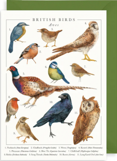 Felicitare - British Birds