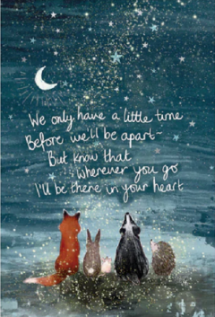 Felicitare - Wherever You Go Fox & Friends