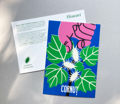 Postcard - Plante de poveste - mai multe modele