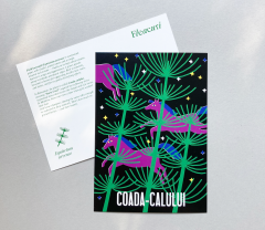 Postcard - Plante de poveste - mai multe modele