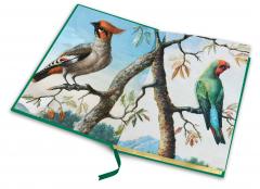 The Origin of Species