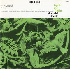 Byrd in Flight