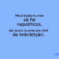 Invat sa fiu politicos