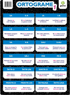 Poster - Ortograme 1